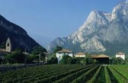 Vin Natur: il Veneto e il Trentino