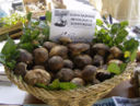 Gnocchetti di funghi e pane