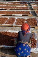 La speculazione finanziaria sul cacao, cioccolato mio quanto mi verrai a costare?
