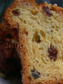 Colomba 1 - rifatta con modifiche