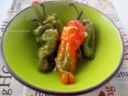 PEPERONCINI VERDI DOLCI RIPIENI Ricetta contorno