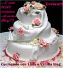 EVVIVAAAAAA! 80000 VISITATORI SUL BLOG!