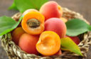 Le virtù della frutta – L’albicocca