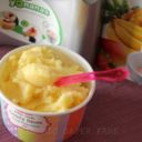 Yonanas gelatiera..per un gelato di sola frutta