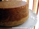 Molly granny cake! (Pan di spagna alla panna)