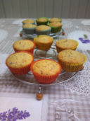 Muffin alla frutta frullata – cranberries e albicocche