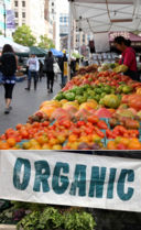 Union Square, i contadini, Petrini e gli spaghetti