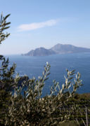 Nastro d'oro, ristorante con vista