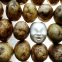 Arrivano in Europa le patate OGM della Basf