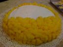 Torta mimosa per la festa della donna 8 marzo