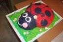 Torta di compleanno: la coccinella