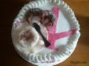 Torta per i colleghi di lavoro