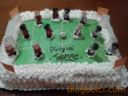 Torta di compleanno: campo sportivo
