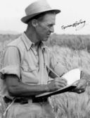 Norman Borlaug, l’uomo che ha nutrito il mondo