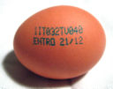 Uova in codice
