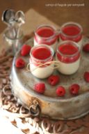 Panna cotta con salsa ai lamponi