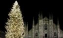 Viaggi Natale 2013: a Milano un albero di 30 metri in Piazza Duomo