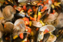La torta di mare, una ricetta estiva di pesce