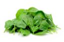 Girelle agli spinaci, un antipasto delicato