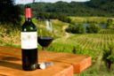 Cantine Aperte: il 27 maggio in Campania l’evento per gli appassionati del vino