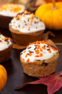 Cupcakes speziati alla zucca