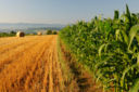 Forum Internazionale dell’Agricoltura e dell’Alimentazione 2013