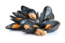 Cozze fritte da Fuori menù