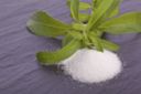 Stevia rebaudiana in cucina, tutte le proprietà benefiche