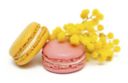 Macarons per la Festa della donna