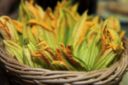 Pasta ai fiori di zucca e gamberetti, ricetta