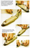 Per una corretta pulizia del pesce...