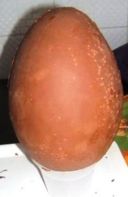 Uovo di pasqua " fai da te" Ecco la ricetta facile e veloce.