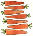 Carote in agrodolce, Carote grattugiate, Purée di carote