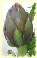 Ricetta del risotto ai carciofi