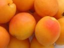 Ricette Marmellata - Marmellata di albicocche alla vaniglia