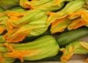 Tortino ai fiori di zucca