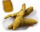 Curcuma