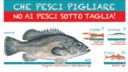 Ecocucina: Zuppa di pesce antispreco in pentola a pressione