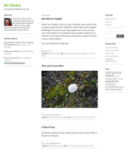 New Themes: Ari and San Kloud