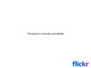 Radici 2009: eno-Puglia in grande crescita e degustazioni in grande allegria…