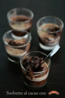 Sorbetto al cacao con Baileys