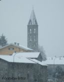 Di gelatina di aceto balsamico e di alberi con la neve...