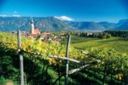 Strada del Vino dell’Alto Adige, gli appuntamenti della primavera estate