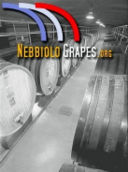 Nebbiolo grapes: due giorni dedicati al Nebbiolo a Sondrio