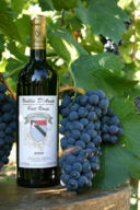 Vini e vitigni autoctoni della Valle d’Aosta, il Petit Rouge