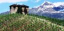 Ad Aosta per gustare i vini dei Viticulteurs Encaveurs della Vallée