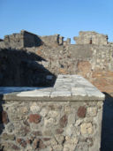 Pompei, il vigneto in città e una immagine che vale la nostra storia