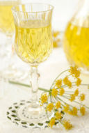 Liquore al Finocchietto Selvatico