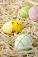 Buona Pasqua!