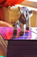 Milka ed Eurochocolate 2011